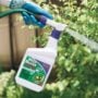 Weed Beater Ultra Spray – Bonide – 16 oz